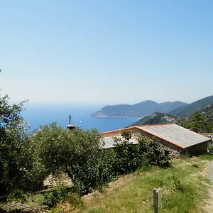 Tra Er Boscu Er Maa , Volastra Italien